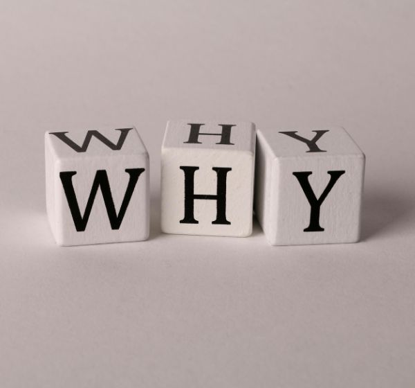 Driving School Website Designer why choose us